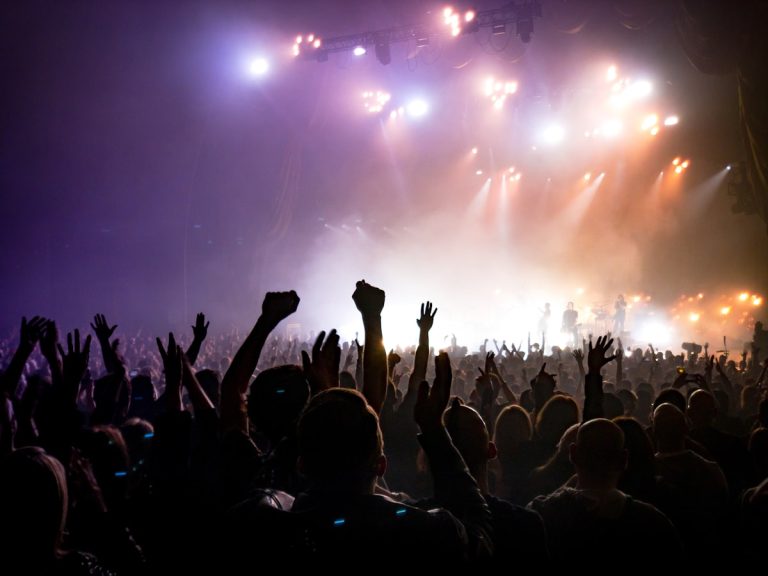 Crowd facing a lit concert stage
